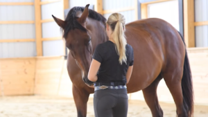 How Emotion Influences Horse and Rider Behavior