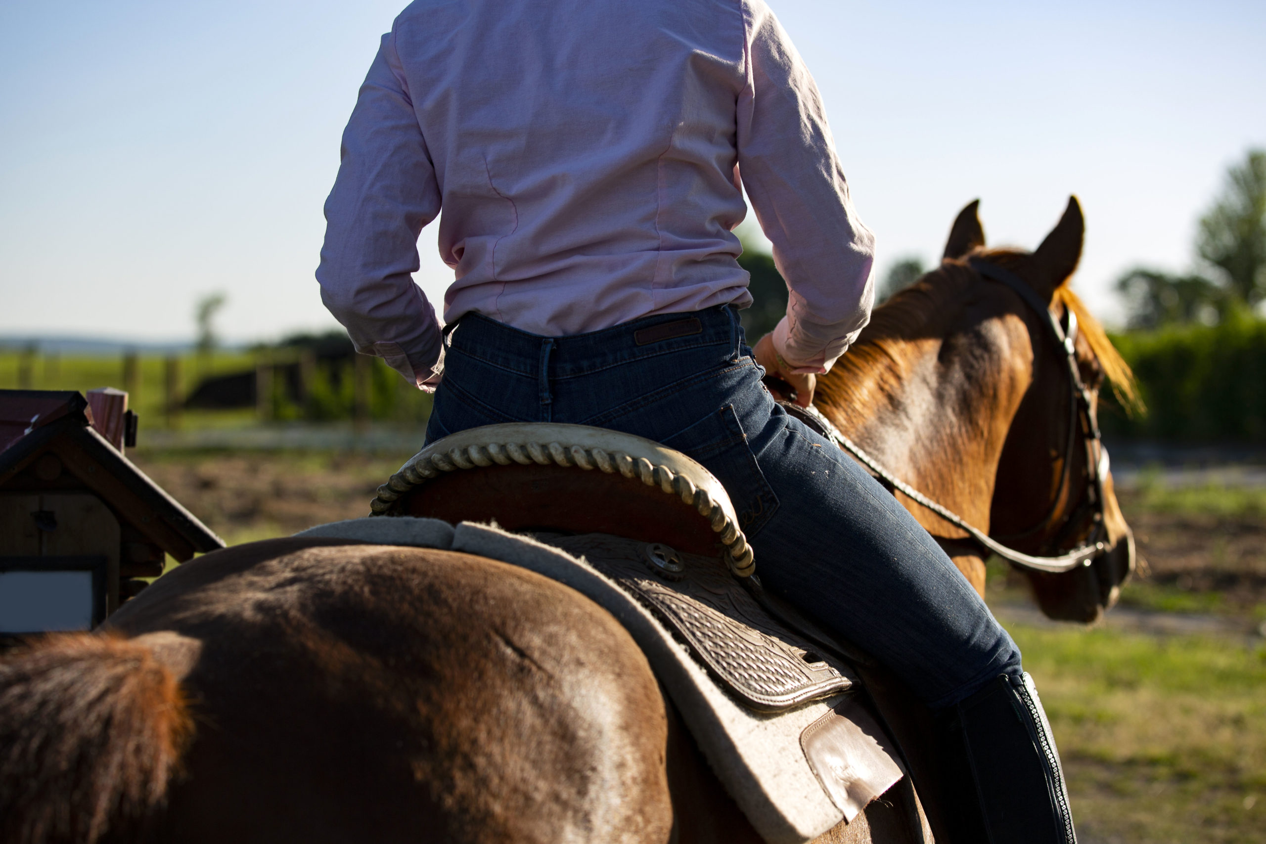 Back riding deals