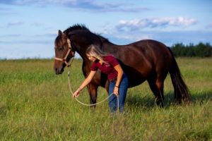 Train a Horse