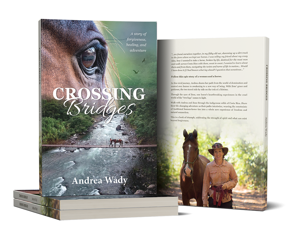 Crossing Bridges