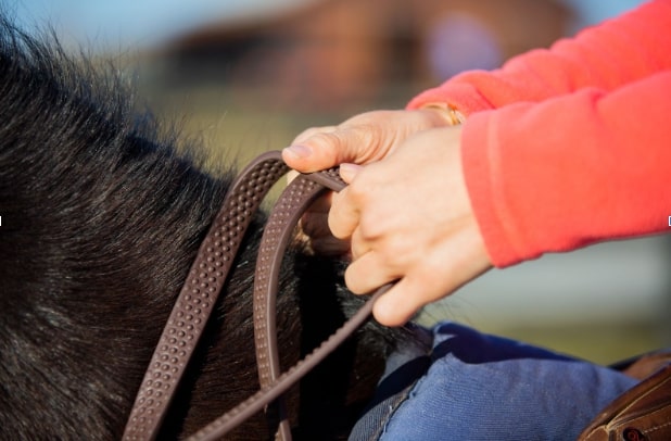 3 Exercises for Steady Rein Contact