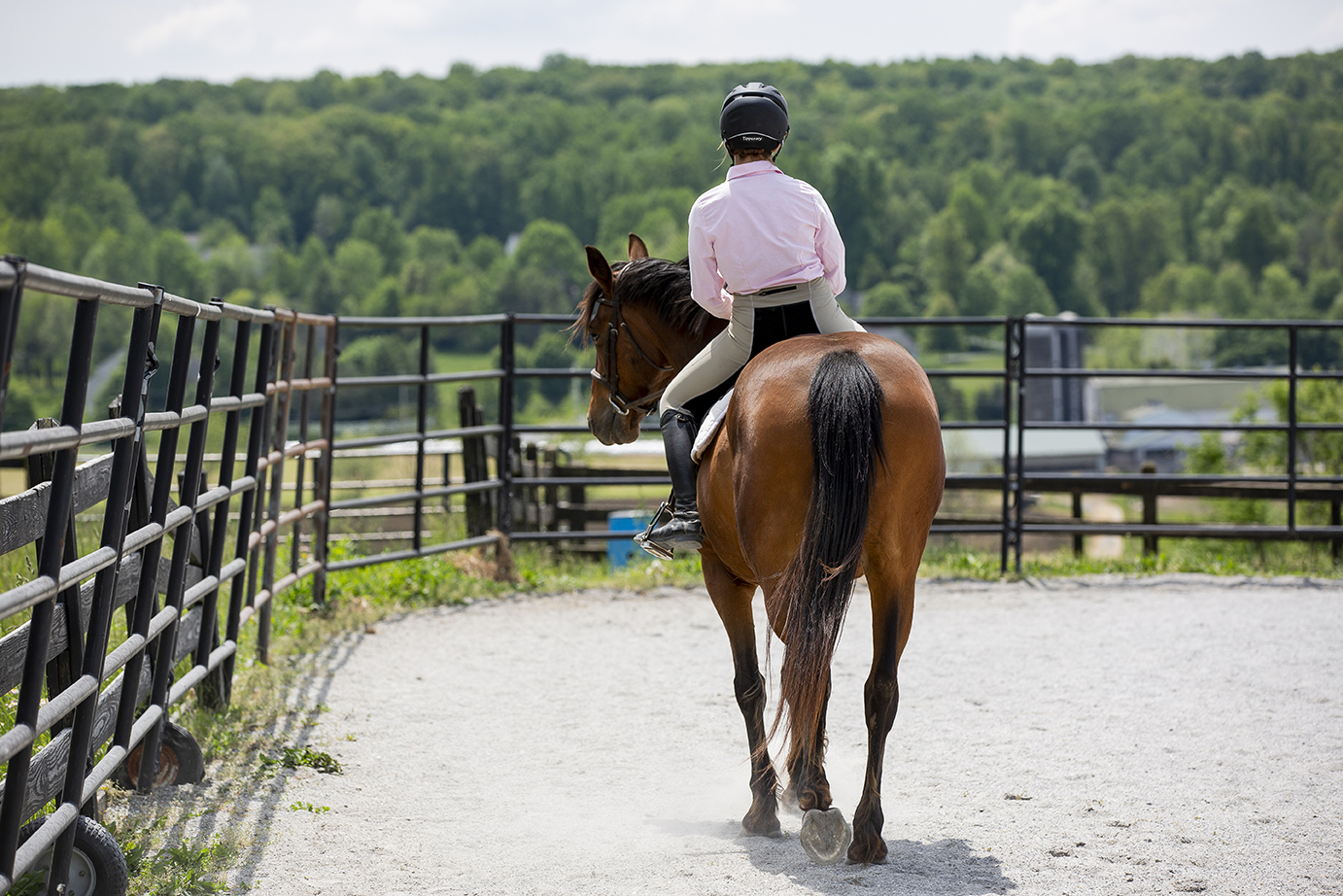 Understanding Seat Aids in Riding
